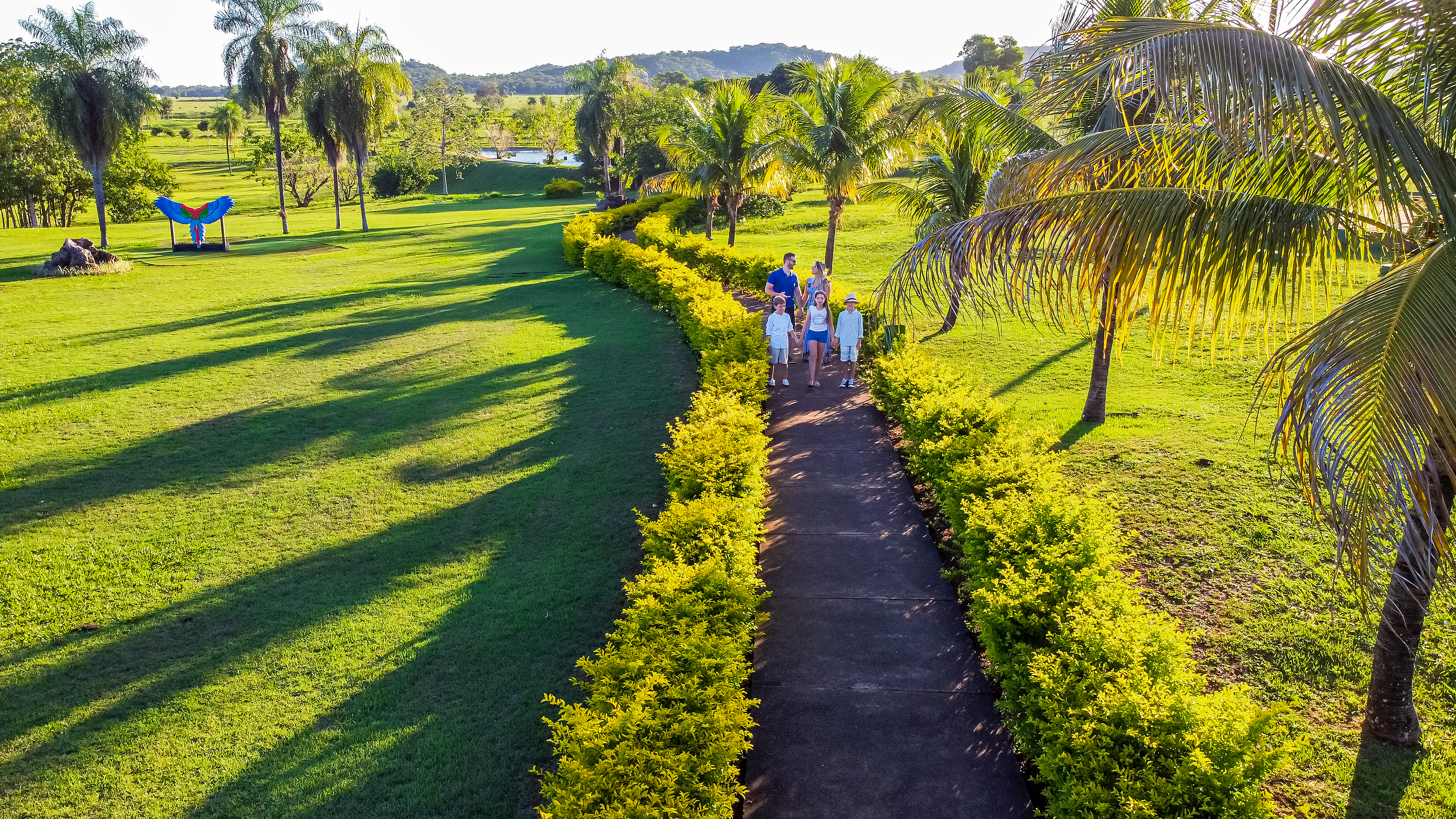 Passeio em área externa